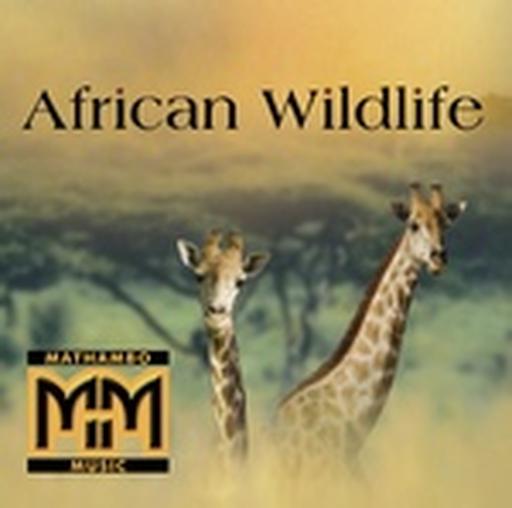 Dances with Giraffes - Full Mix cover Dances with Giraffes - Full Mix cover